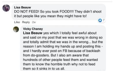 英国_社会|英国游客爱心投食喂鹿，却致其发狂具攻击性，最终惨被射杀