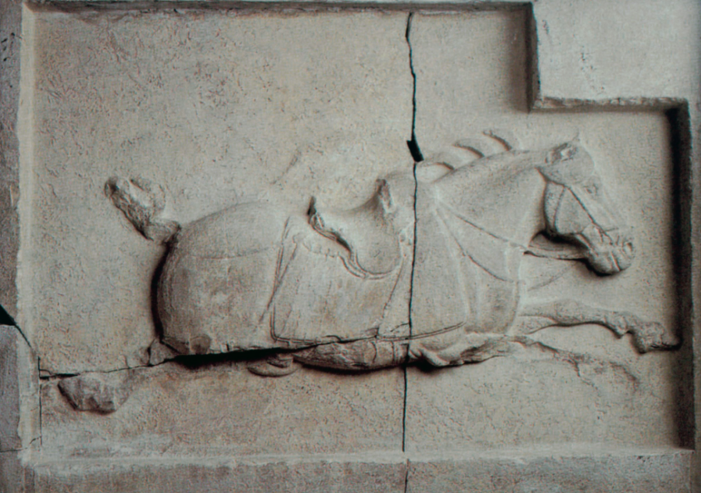葛承雍|葛承雍：追寻胡汉研究的细节，揭开那些隐秘的史实
