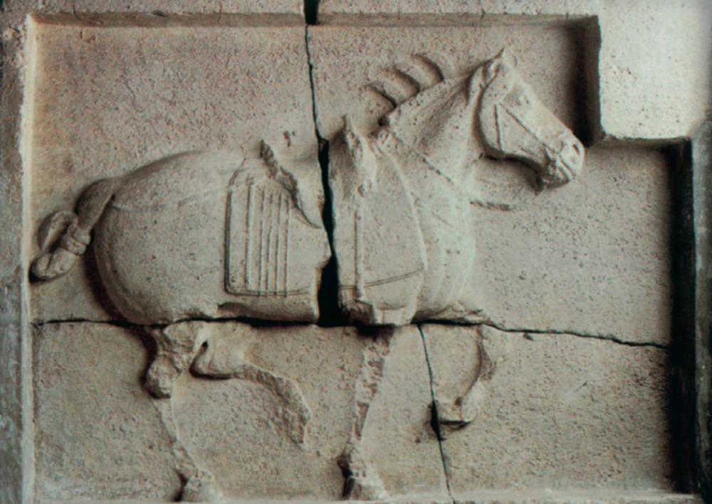 葛承雍|葛承雍：追寻胡汉研究的细节，揭开那些隐秘的史实