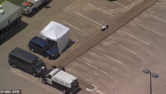 毛骨悚然|毛骨悚然！美妈妈带俩宝贝见朋友迟迟没露面，次日被发现陈尸车内