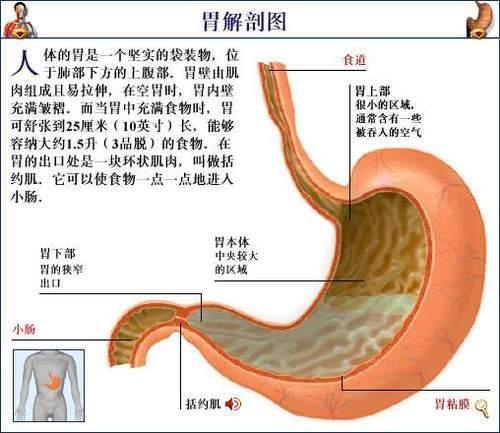 一滴水的奇妙之旅喝下去的水怎麼回到大自然怎麼被淨化的