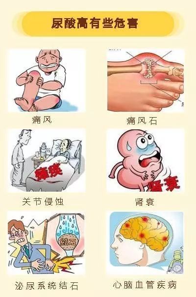 健康高尿酸血症与痛风你了解多少