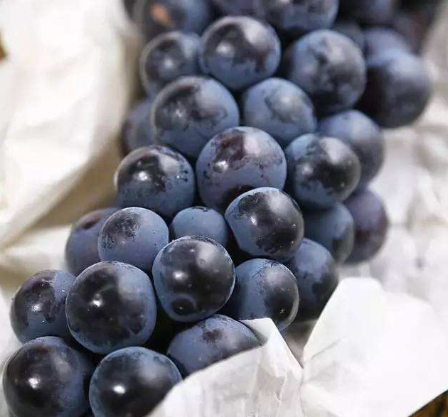 3,白霜的多少新鲜的葡萄,表面都会有一层白霜,不少人回家用了很多水洗