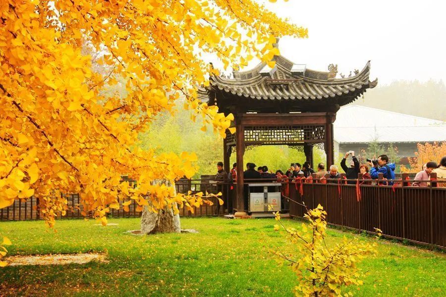 西安|西安，撩咋咧！