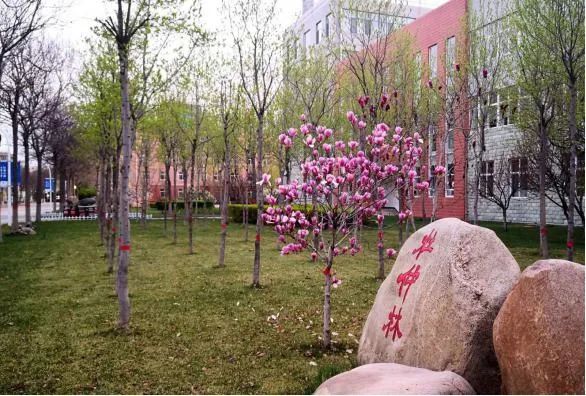 走进京津冀最美大学之河北中医学院