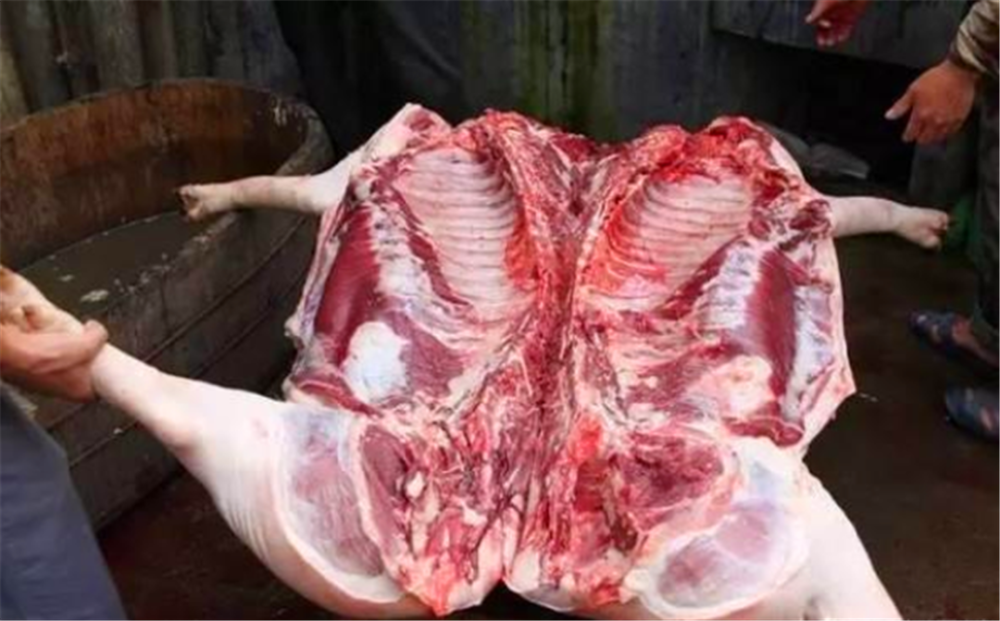 人死后为什么很快发臭,而猪肉羊肉不会那么快?