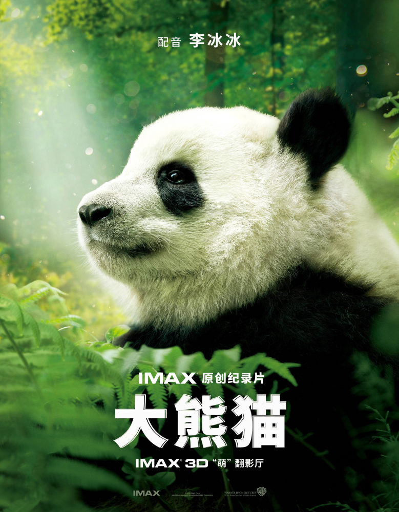 李冰冰imax紀錄片大熊貓上影節展映再度呼籲野生動物保護