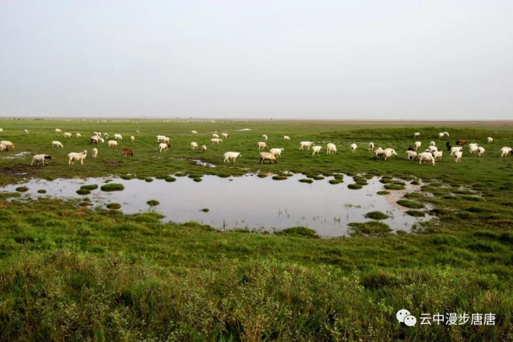 行走的风景——走进新疆之民丰与和田
