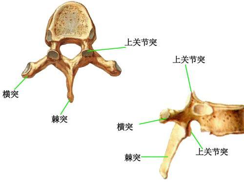 棘突炎的临床有效调理方法