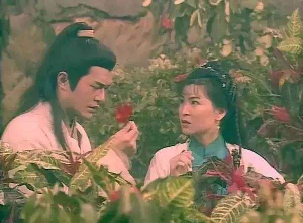 曼陀罗|曼陀罗有毒，为什么农村屋前屋后还有很多人种？