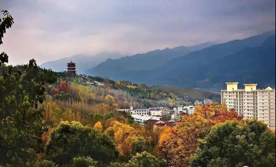 游花屋 逛古镇 品美食 此刻一起去探寻汉阴的初冬盛景吧 腾讯新闻