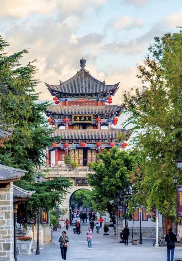 初夏时节到昆明较场中路看蓝花楹将昆明街道装点成一个