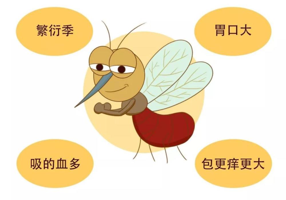 北极圈|北极圈蚊子越来越多？人类能不能将蚊子全部消灭？