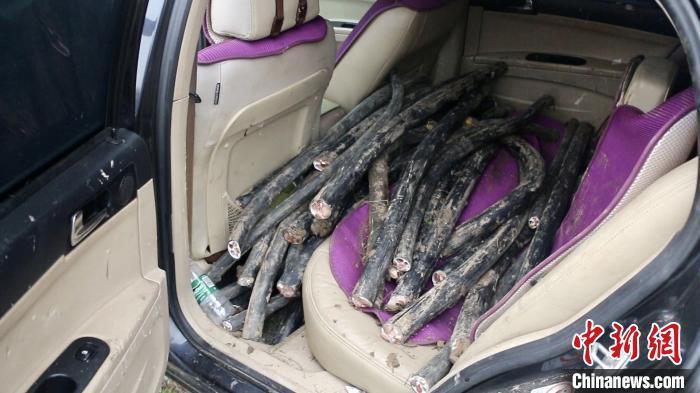 民警|北京警方破获系列盗窃工程电缆案 刑拘13人