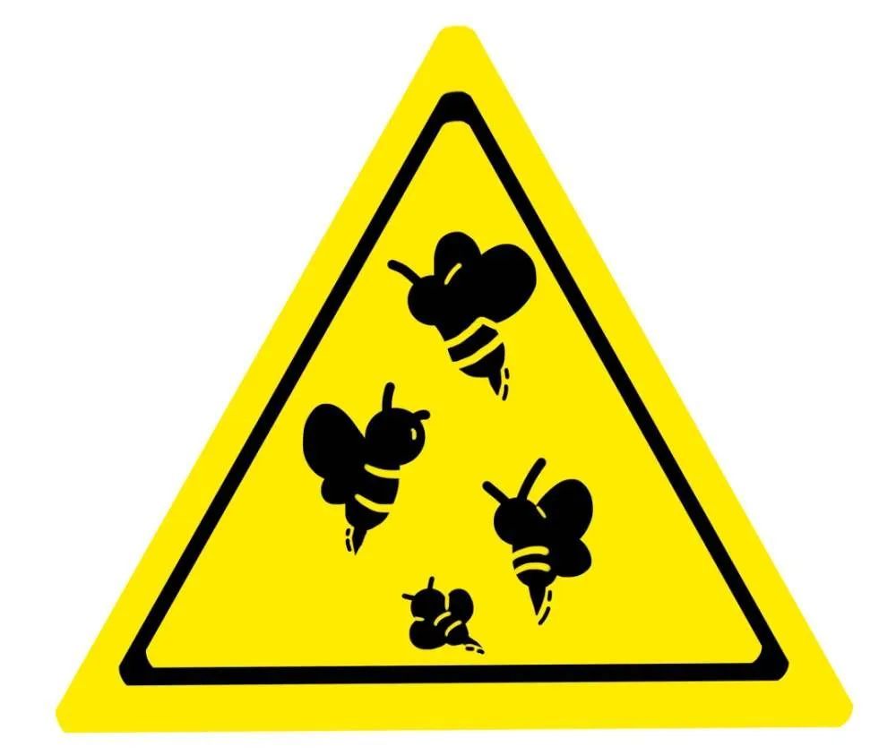 蜜蜂因为要采蜜,所以一般在花丛中活动,而马蜂经常出没于野外,树丛.