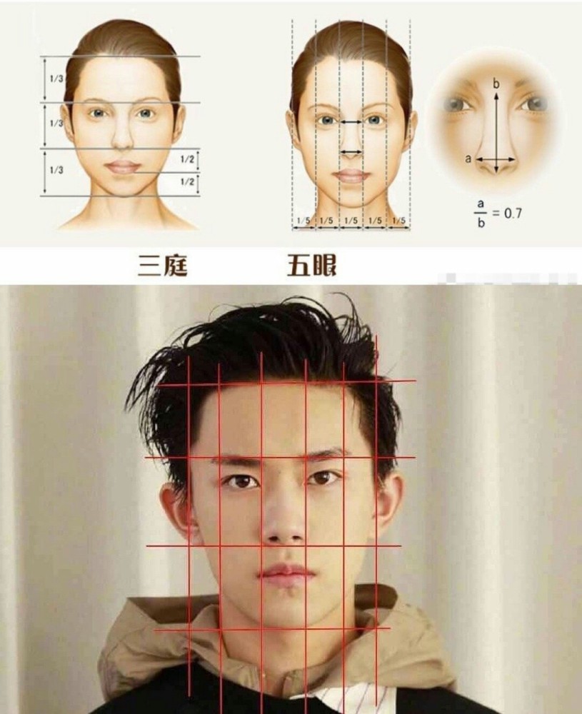 易烊千玺|易烊千玺颜值遭质疑，网友发布他的脸部比例图，公认黄金比例脸