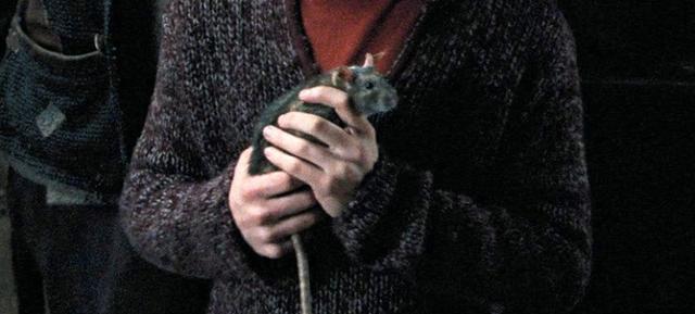 哈利波特如果纳威是预言之子的话故事会怎样发展呢