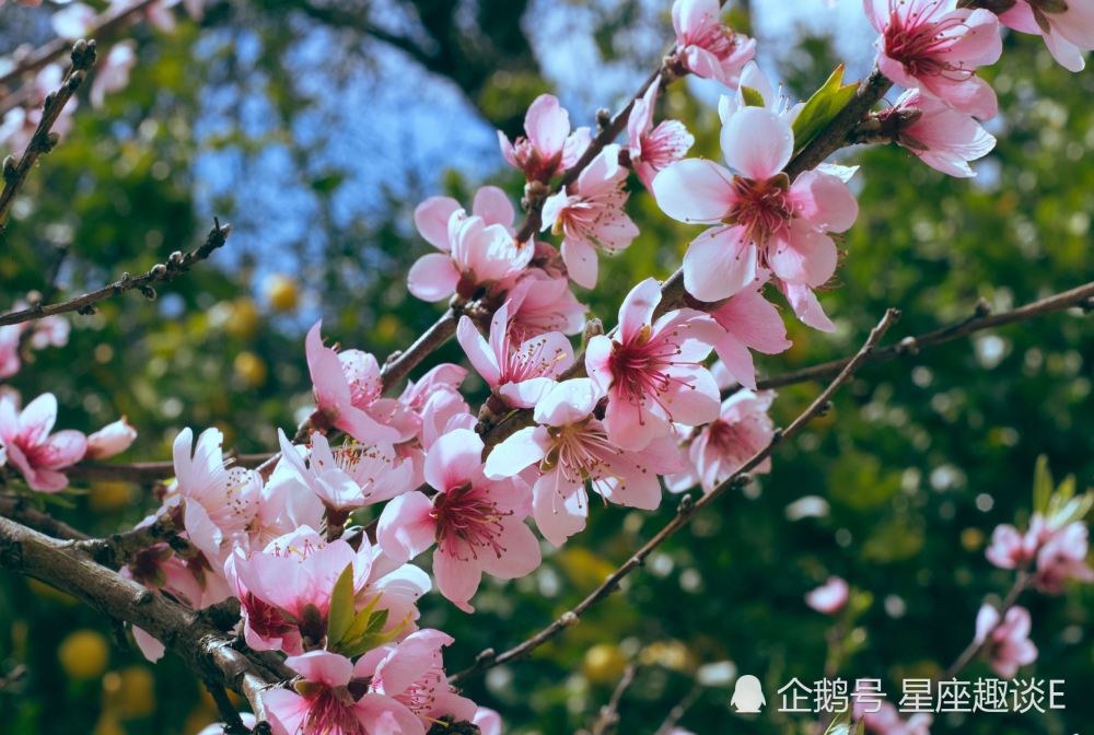 7月25日 29日星座运势 巨蟹大胆尝试 狮子信心十足 摩羯收获满满 腾讯新闻