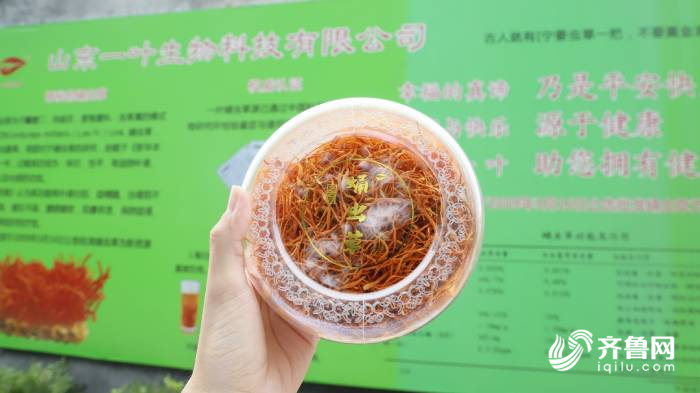 蛹虫草|十年育一菌株！德州首家蛹虫草生产基地迎来采收 年产量达1200余公斤