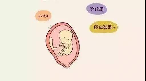 美中宜和陈新娜 遭遇胚胎停育或反复流产 试管婴儿人群如何 逆天改命 腾讯新闻