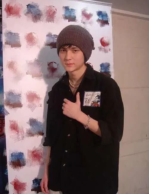 当年刘君林因外貌酷似吴彦祖和陈冠希的结合体而被大众认知.