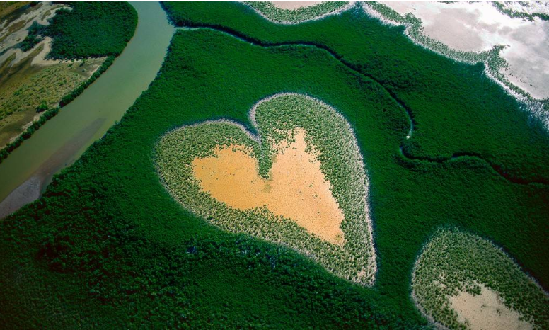 地球|当地球走向生命终点，人类该何去何从？带你了解不可思议的地球