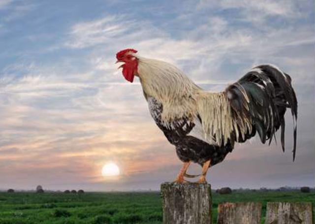 三更|古人讲“一更人，二更火，三更鬼”，四、五更是啥？古人智慧之谈