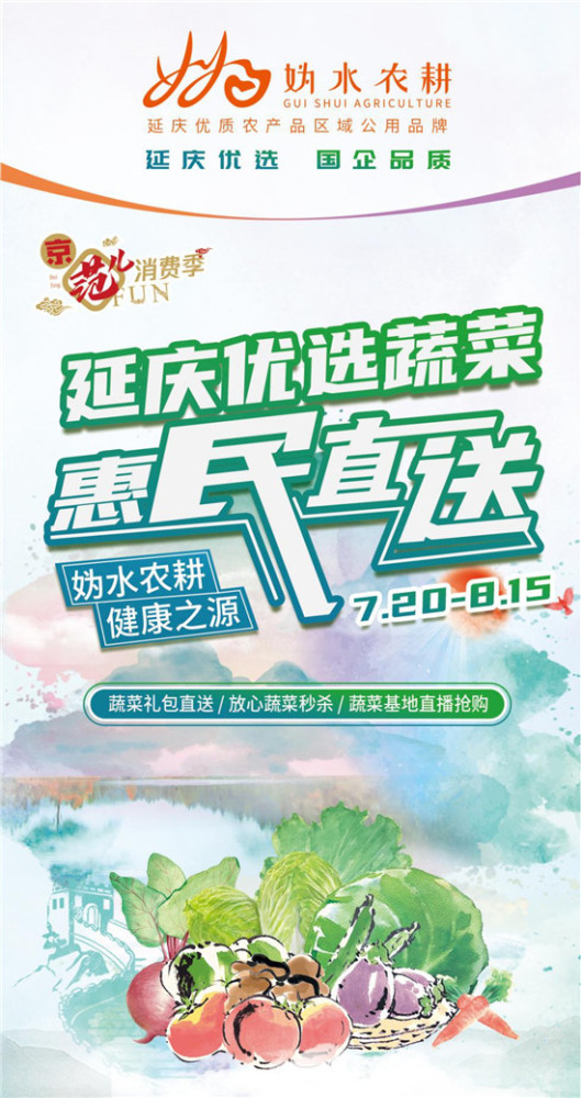 蔬菜|“妫水农耕”优选蔬菜直播：区域公用品牌如何试水数字营销