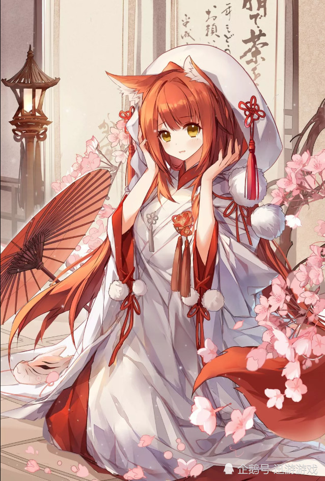 还有一只伴我们成长的妖狐,他小时候挺可爱,长大了之后,反而很傲娇!