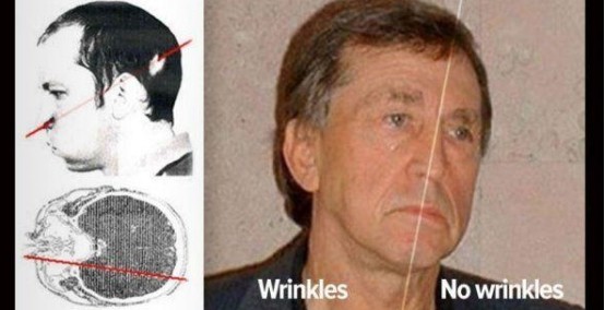 粒子|难以置信！被辐射粒子穿透大脑后依然活着！科学家出现“变异”？