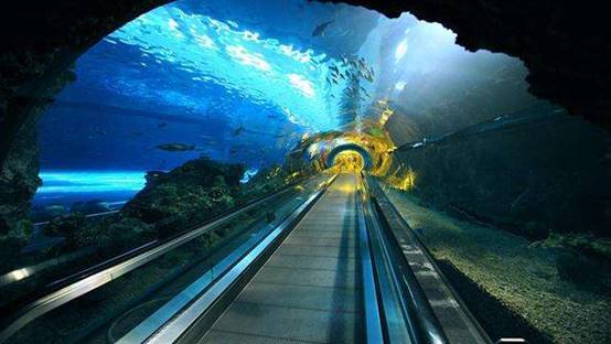 鲁家峙海底隧道图片