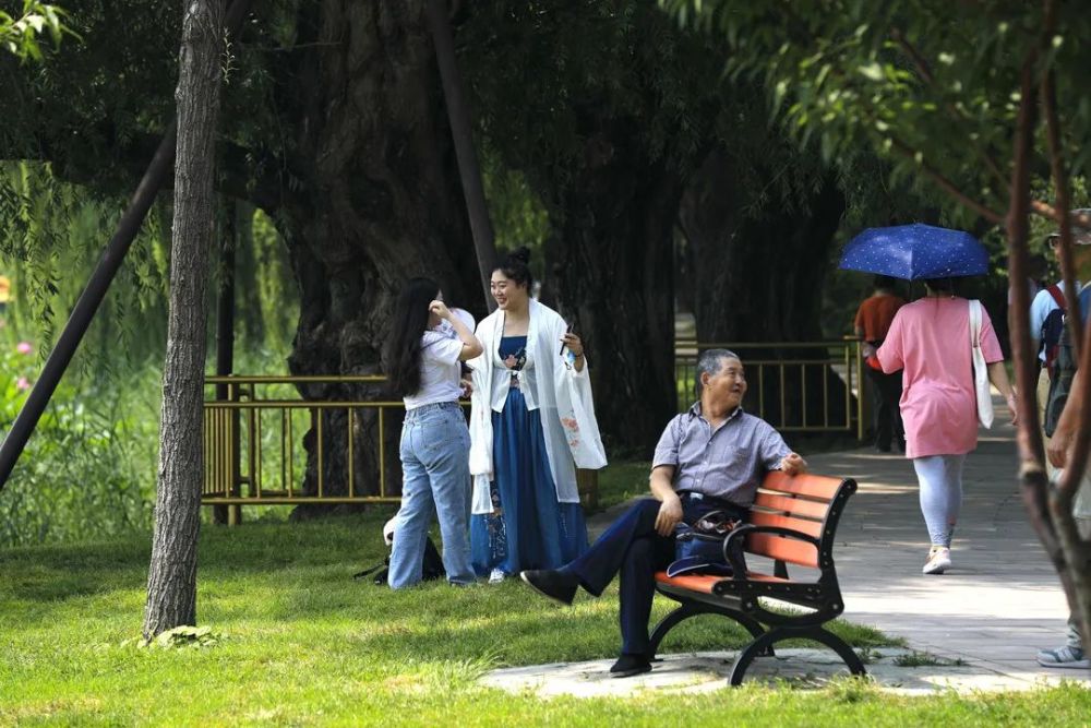 颐和园|冉冉香！颐和园再现“莲红缀雨”