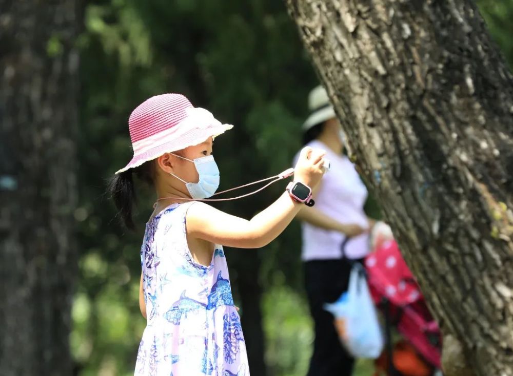 颐和园|冉冉香！颐和园再现“莲红缀雨”