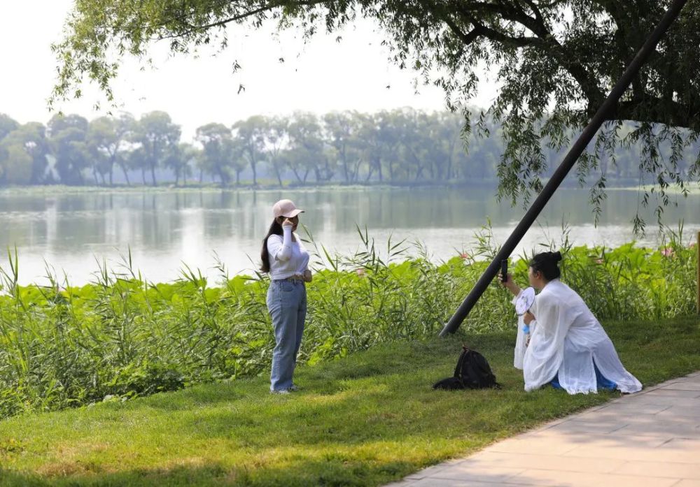 颐和园|冉冉香！颐和园再现“莲红缀雨”