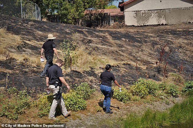 失踪|美国2岁男童半夜在家离奇失踪，郊区发现疑似幼童尸体