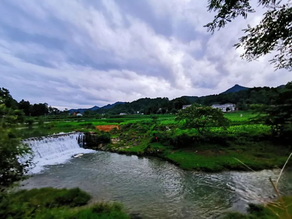 疫情|回归大自然妈妈的怀抱，随处都是最好的课堂