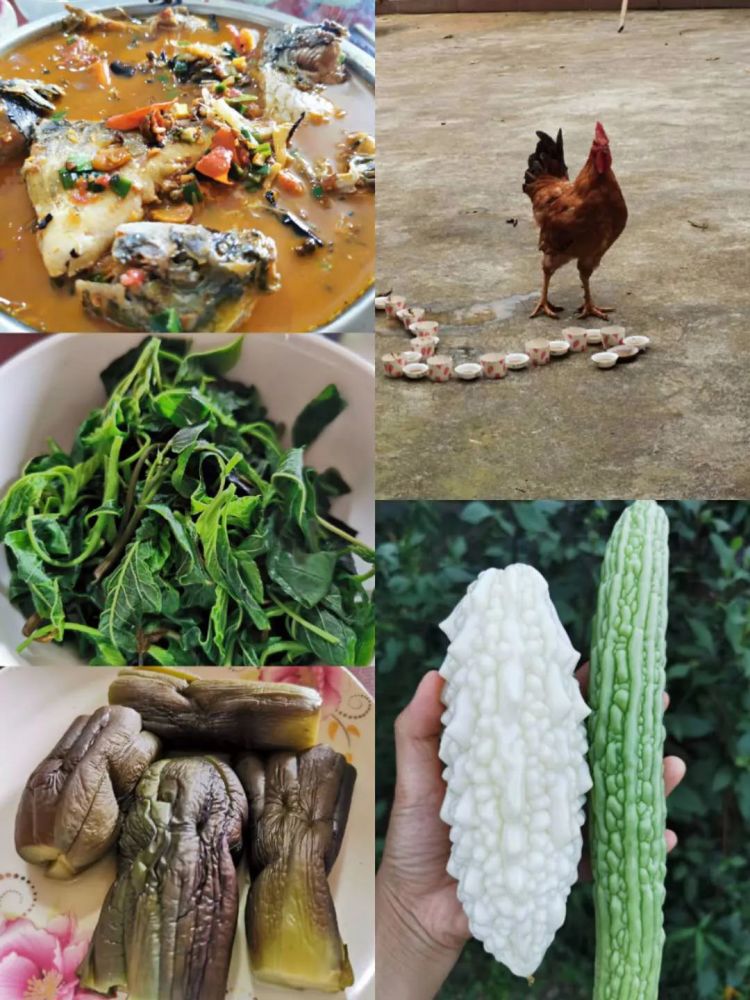 疫情|回归大自然妈妈的怀抱，随处都是最好的课堂