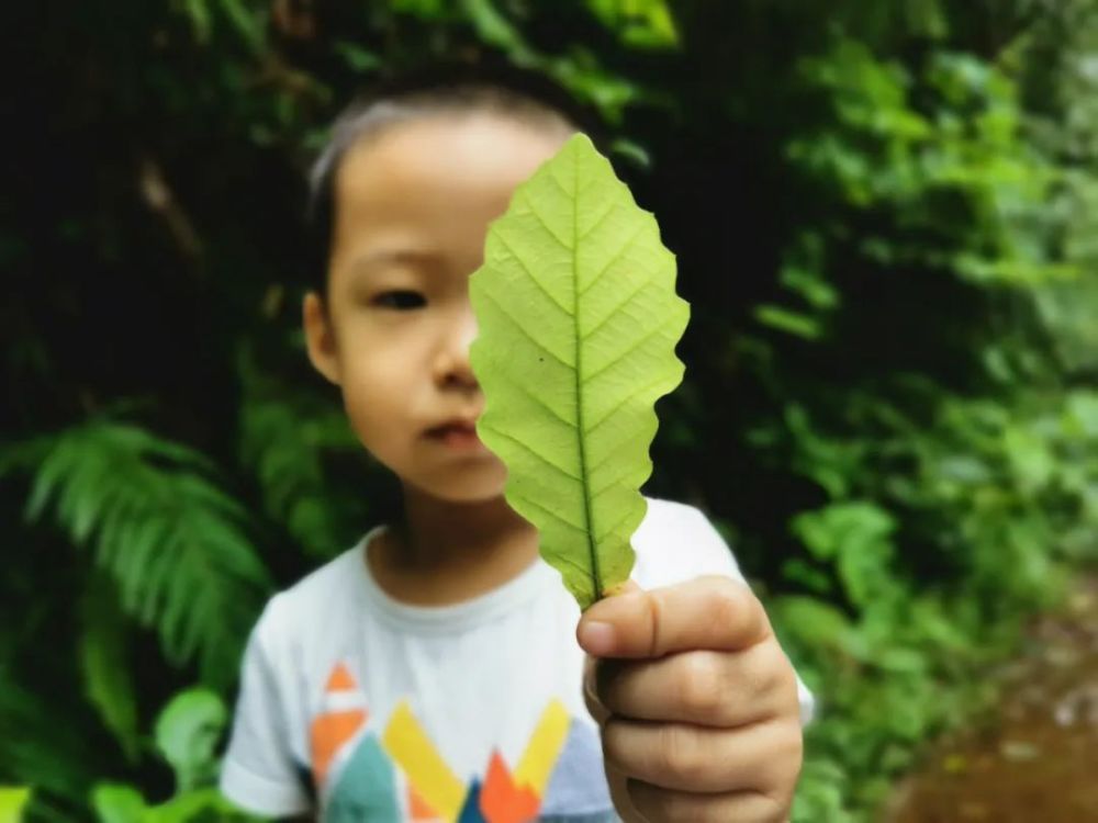 疫情|回归大自然妈妈的怀抱，随处都是最好的课堂