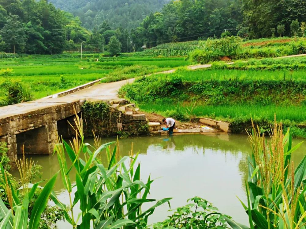 疫情|回归大自然妈妈的怀抱，随处都是最好的课堂