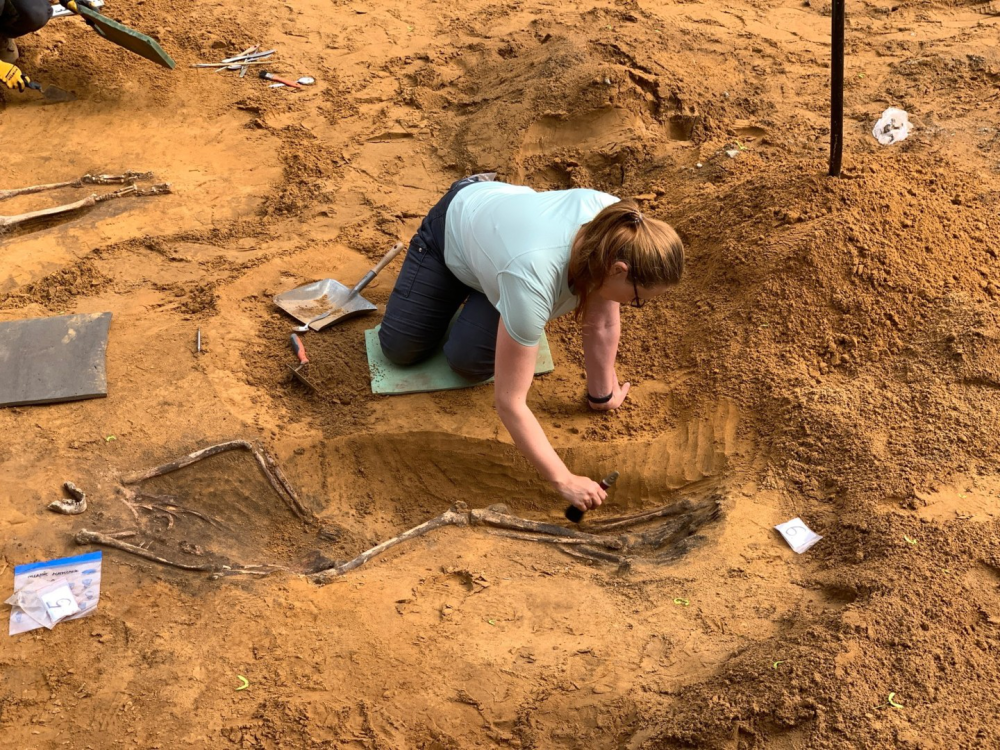 考古学家|建筑工地里意外发现人的尸骨，之后越挖越多共挖出100多具