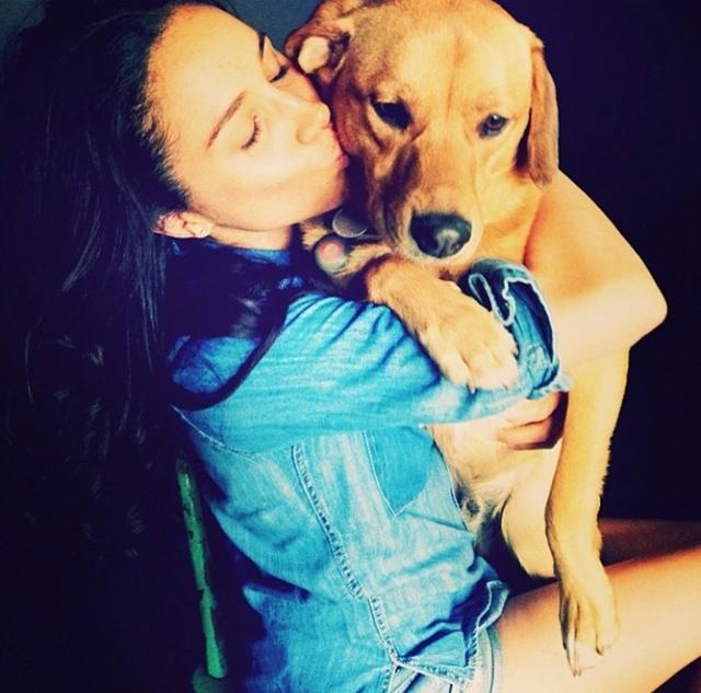 梅根王妃|梅根王妃人设翻车？曝其为嫁王室弃爱犬3年，被疑虚伪形象难挽回