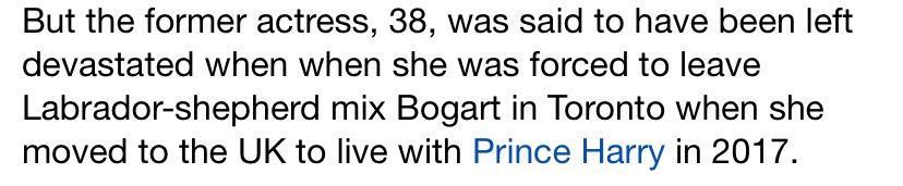 梅根王妃|梅根王妃人设翻车？曝其为嫁王室弃爱犬3年，被疑虚伪形象难挽回