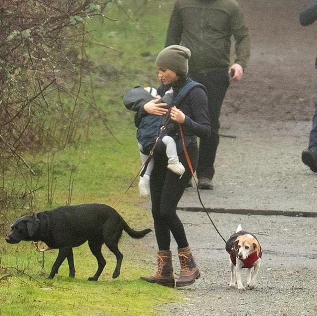 梅根王妃|梅根王妃人设翻车？曝其为嫁王室弃爱犬3年，被疑虚伪形象难挽回