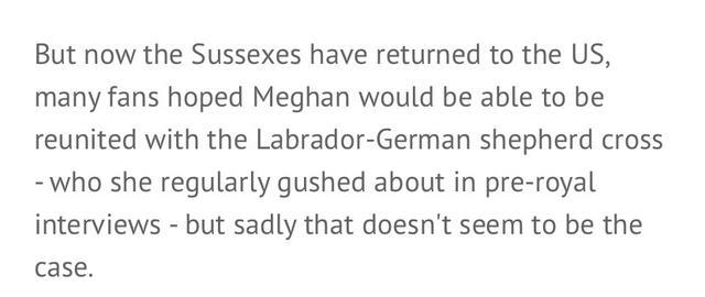 梅根王妃|梅根王妃人设翻车？曝其为嫁王室弃爱犬3年，被疑虚伪形象难挽回