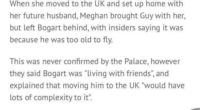 梅根王妃|梅根王妃人设翻车？曝其为嫁王室弃爱犬3年，被疑虚伪形象难挽回