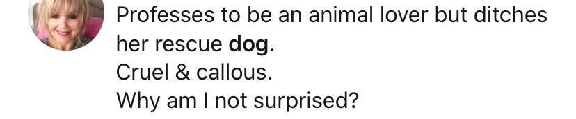 梅根王妃|梅根王妃人设翻车？曝其为嫁王室弃爱犬3年，被疑虚伪形象难挽回