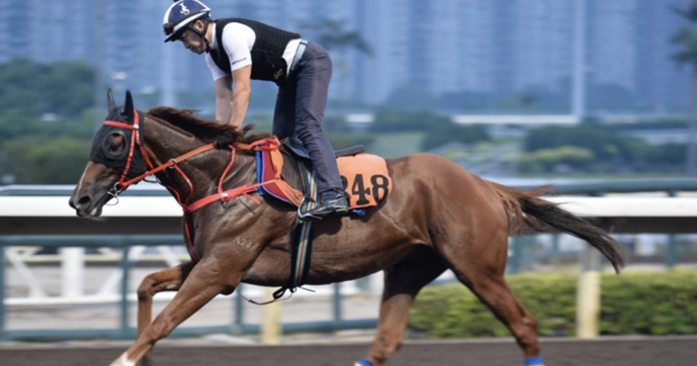 许晋亨|58岁许公子，200万零用钱潇洒养妻小，400亿财产不争不斗全归他