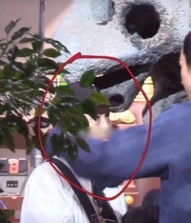 唐嫣|明星和助理什么时候开始也不可说了？