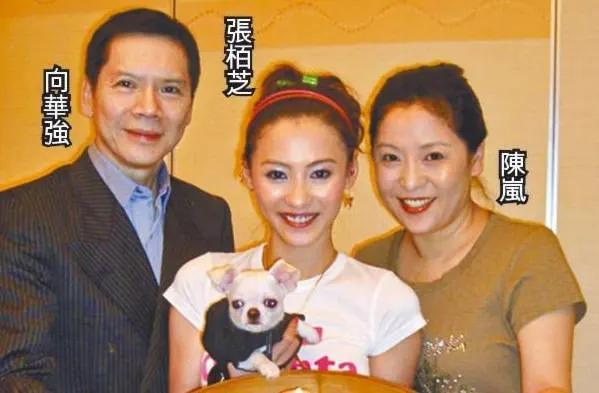 张柏芝|张柏芝：当全世界都与你为敌，你却不知道自己错在哪