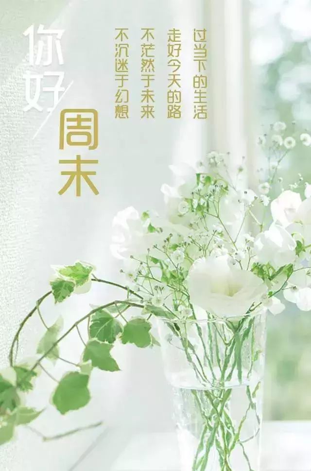 周末早安问候很哲理的唯美图片早上好超阳光的祝福语录